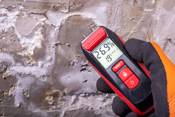 Best Same-Day Mold Removal  in Harrisville, PA