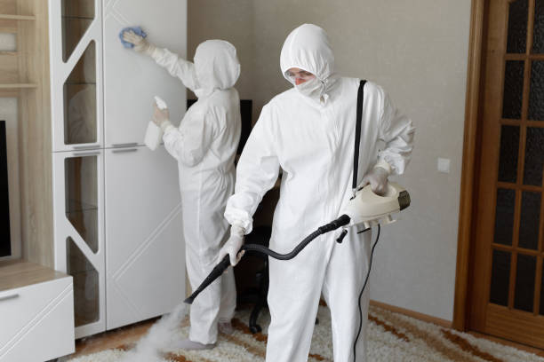 Best Office Mold Removal Services  in Harrisville, PA