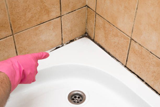 Best Mold Testing  in Harrisville, PA